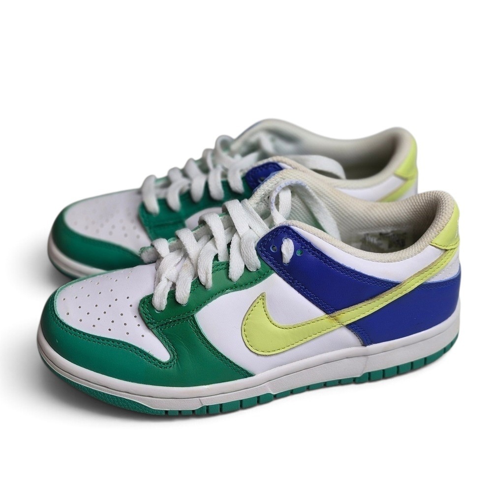 Nike Dunk Low Kids 5Y Green Blue White Excellent Multi-Color Leather FN6973-100